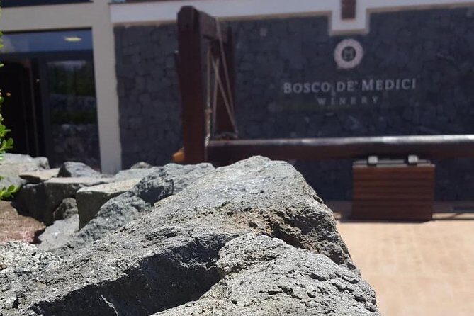 Pompei Archeological site and Wine tasting Experience - Pompeii in about two hours: what your guide helps you see
