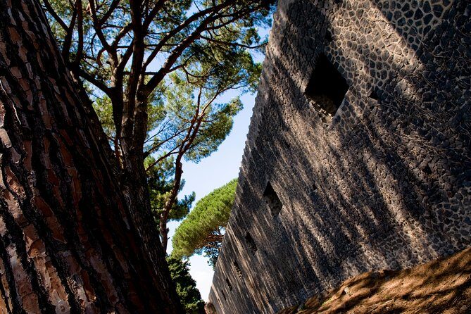POMPEI Half Day TOUR - Departure from NAPLES Centre (TICKET INCLUDED) - Group Size: Why It Can Feel Smooth (or Crowded)