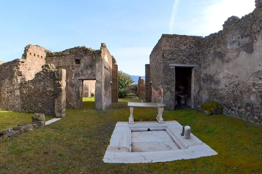 Pompeii: 2 Hours Skip the Line Visit with a Licensed Guide - Roman Forum and Terme Stabiane: the public life stops