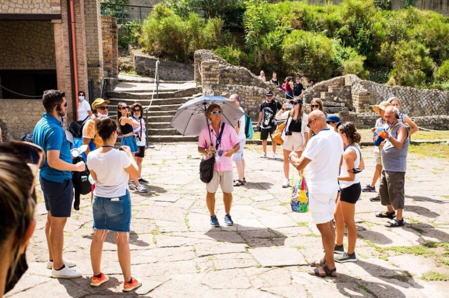 Pompeii: 2H group guided tour with a certified guide - Price and value: is $42 for 2 hours fair?