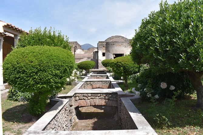 Pompeii & Amalfi Coast Tour from Naples or Sorrento - Who this tour is best for (and who might want a different plan)