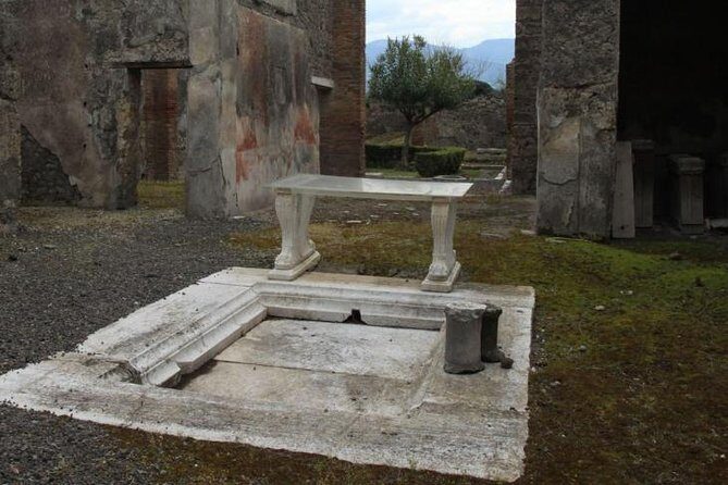 Pompeii and Amalfi Coast Port Tour (Driver Only/Self Touring) - Driver-Only Comfort: How the Day Flows Without a Guide