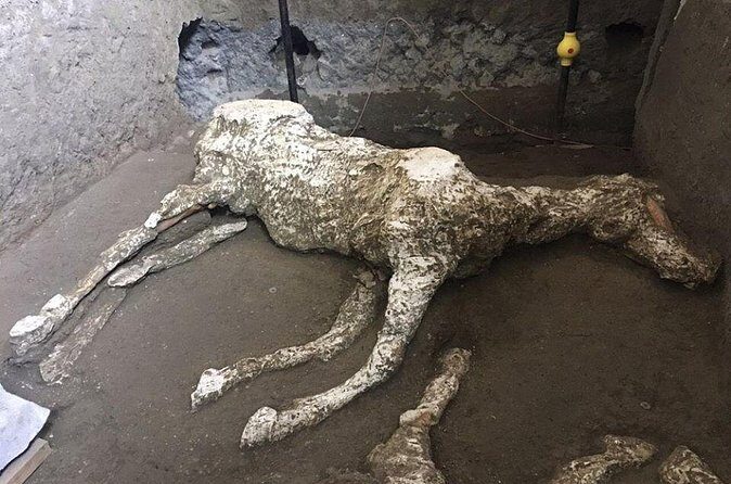 Pompeii and Herculaneum Day Tour - with Lunch from Naples - Tickets, timing, and crowd reality (the stuff that affects enjoyment)