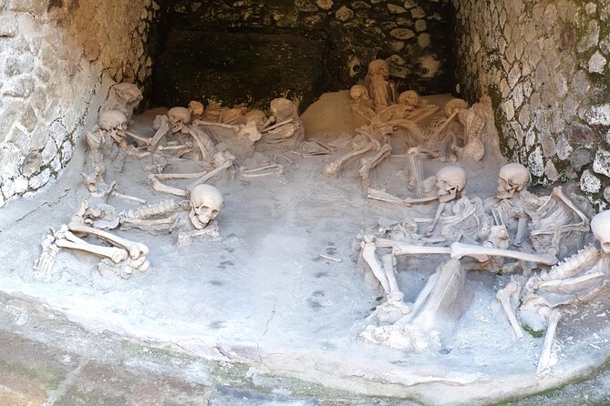 Pompeii and Herculaneum day trip - Key Highlights You’ll Feel Immediately