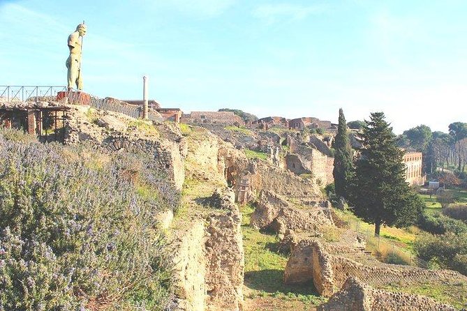 Pompeii and Herculaneum Private Tour with Native Guide and Skip the Line Tickets - Teatro, baths, and streets: what your guide is really helping you see