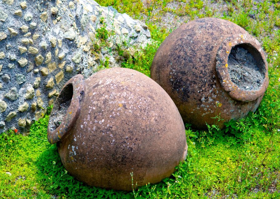 Pompeii and Herculaneum: Private Tour with Transportation - Herculaneum: where the preservation makes the past feel close