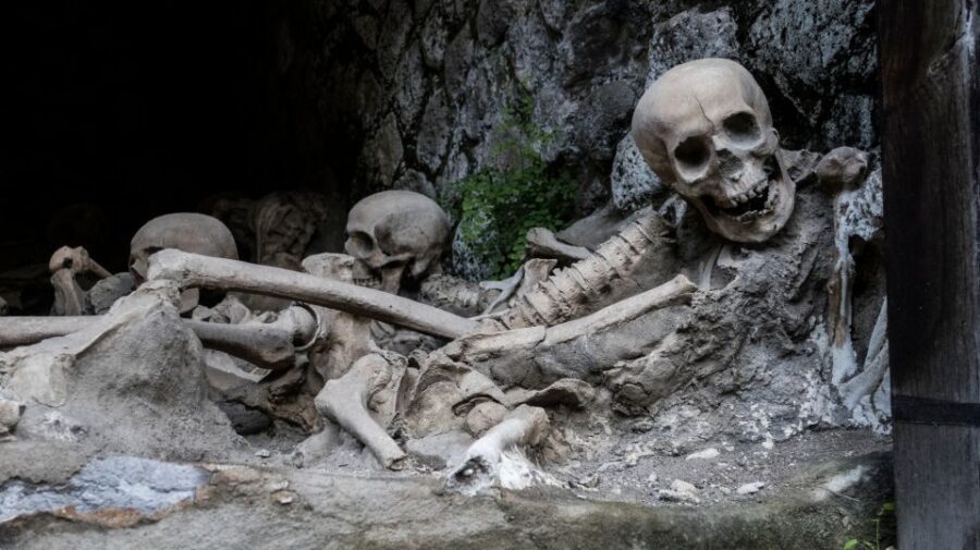 Pompeii and Herculaneum: Private Tour with Transportation - Price and logistics: what you’re paying for, and when it’s worth it