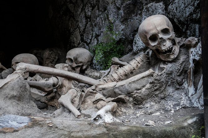 Pompeii and Herculaneum small group Excursion from Naples - Price and Value: Is $173.27 Worth It for Two Sites?