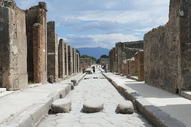 Pompeii and Herculaneum with Wine Tour - Getting there from Sorrento: pickup, comfort, and pacing