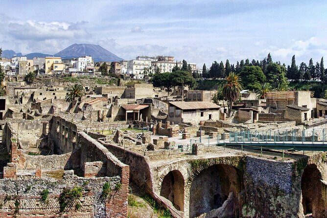 Pompeii and Herculaneum with Wine Tour - Winery time near Mt. Vesuvius: what you should expect and ask