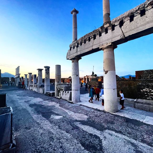 Pompeii and House of Vettii Guided Tour - Skip-the-line into Pompeii: getting moving fast