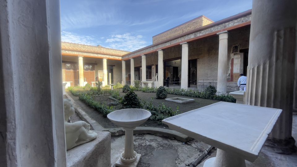 Pompeii and House of Vettii Guided Tour - Should you book the Pompeii and House of Vettii tour?