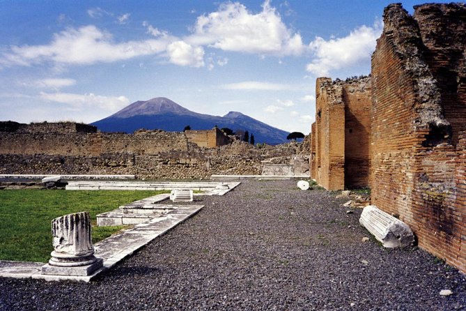Pompeii and Mount Vesuvius Day Trip from Naples with Lunch - A Naples-to-Pompeii plan that keeps the day on track