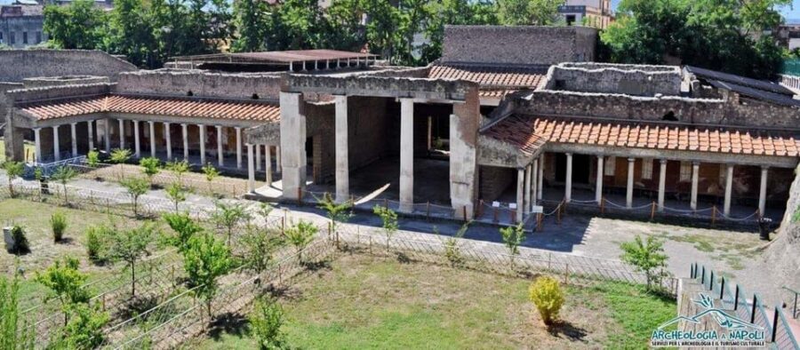 Pompeii and Oplontis: Small Group Tour with an Archaeologist - Price and value at $105: when this feels like a smart buy