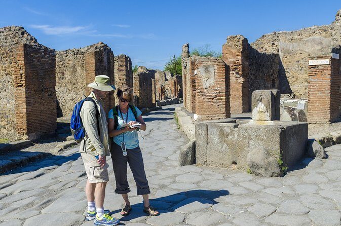 Pompeii and Vesuvius Full Day Private Shore Excursion - Should you book Askos Tours for Pompeii and Vesuvius?