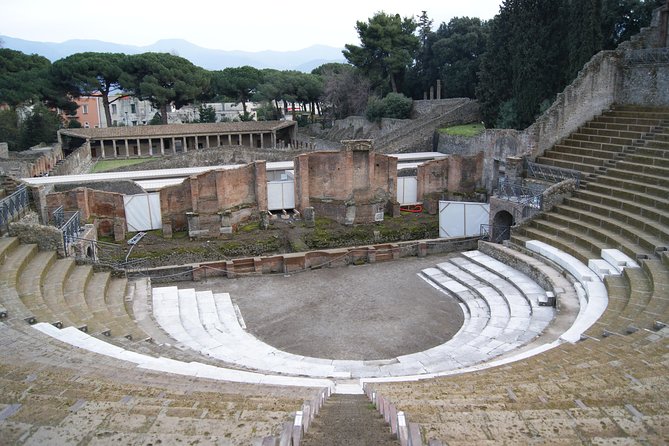 Pompeii and Vesuvius Small Group Tour From Naples with Pizza - Naples pick-up and the pace of an 8-hour day