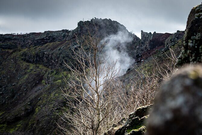 Pompeii and Vesuvius Small Group Tour from Sorrento with Pizza - Key highlights to look for