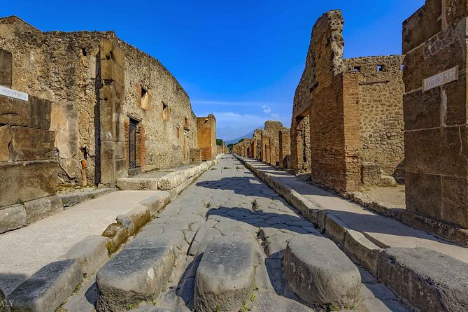 Pompeii Archaeological Area Entrance Ticket - What the buried city teaches you: casts, shops, baths, and homes