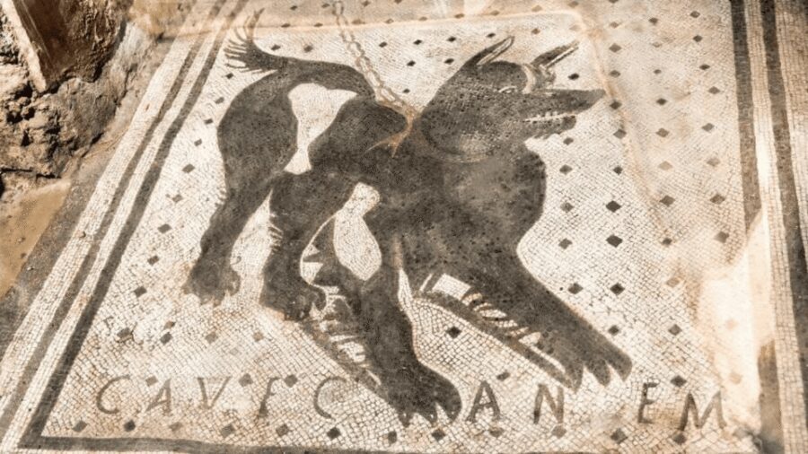 Pompeii Audioguide - TravelMate app for your smartphone - Who Should Book This Pompeii Audioguide?