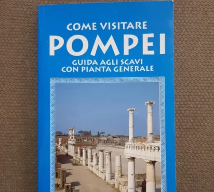 Pompeii: Entry Ticket with Book - Using the guide book and map so you don’t waste time