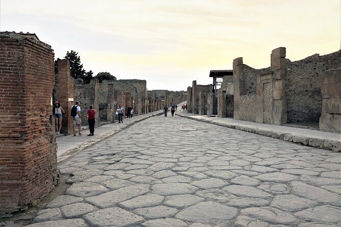 Pompeii Express: 1-Hour Guided Tour - Price and what is actually included (site ticket is extra)