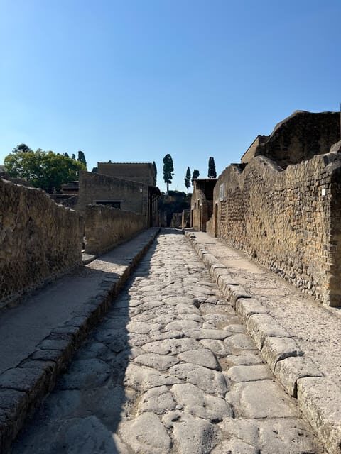 Pompeii Guided Experience - Tour Service Only - What you get from a licensed English guide (and why it helps)