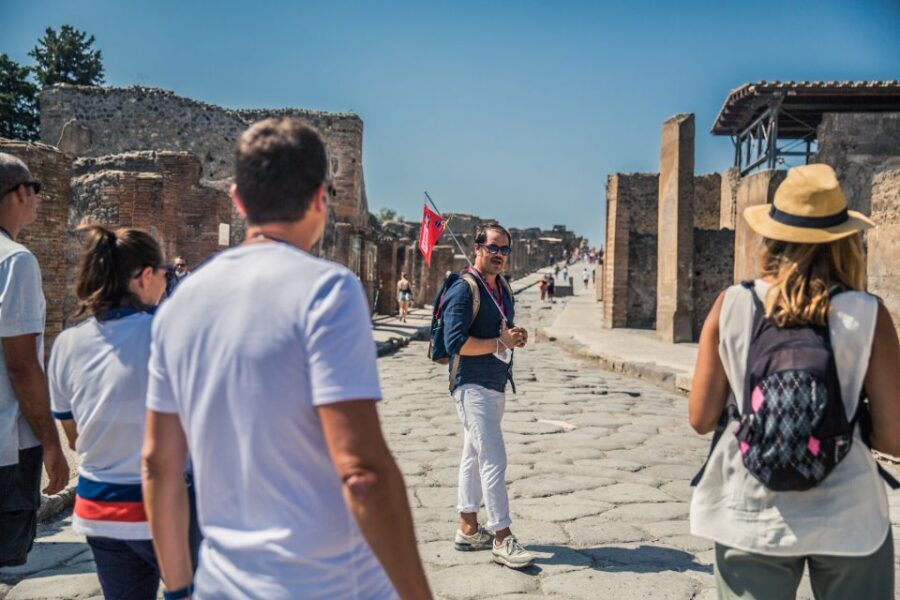 Pompeii: Guided Tour and Skip-the-Line Ticket - House of the Faun and the Alexander Mosaic: wealth you can see