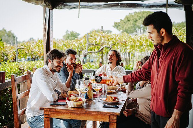 Pompeii Guided Tour & Lunch with Superior Wine Tasting - Trecase on the Vesuvius slopes: views plus wine lessons