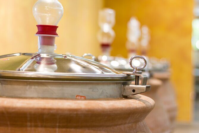 Pompeii Guided Tour & Lunch with Superior Wine Tasting - Price and logistics: is $176.19 good value?