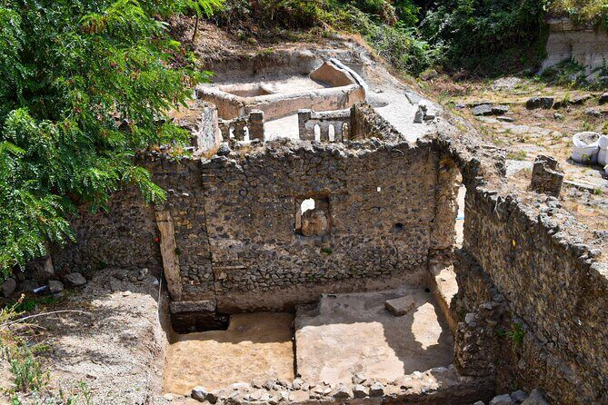 Pompeii Guided Tour & Lunch with Superior Wine Tasting - The Pompeii route: what you’ll actually get to see