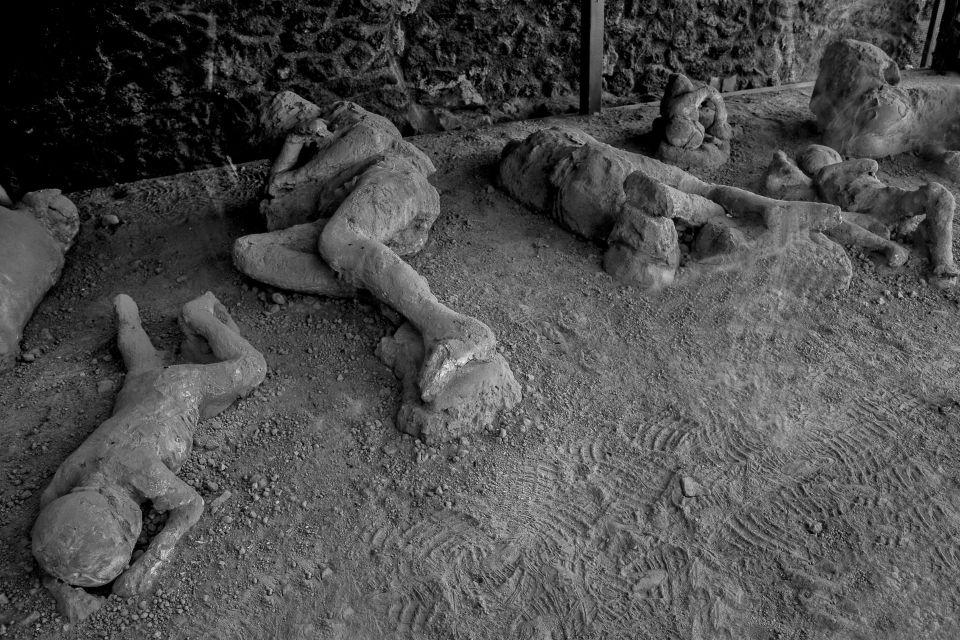 Pompeii Guided Tour with Archaeologist - Forum and public life: reading the city’s daily rhythm