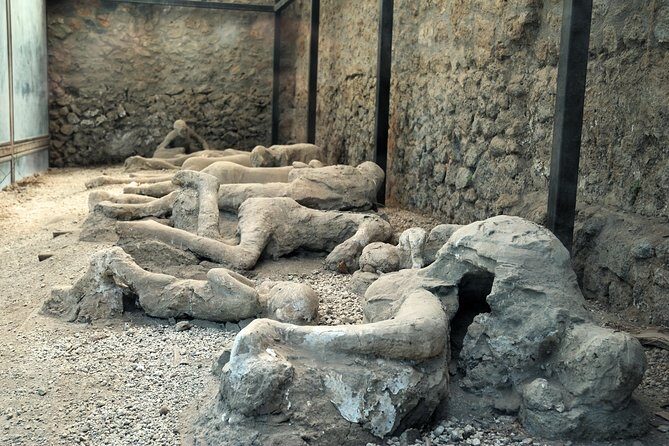 Pompeii Guided Walking Tour with Ticket - Granai del Foro (Forum Granary): market space plus thousands of artefacts