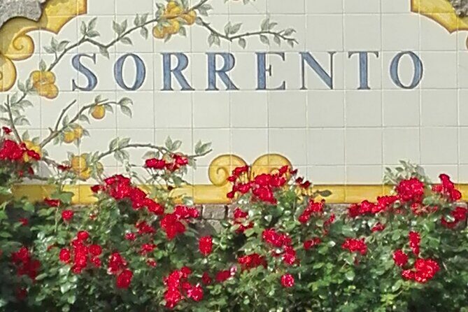 Pompeii Half-Day Tour from Sorrento - Key things to know before you go