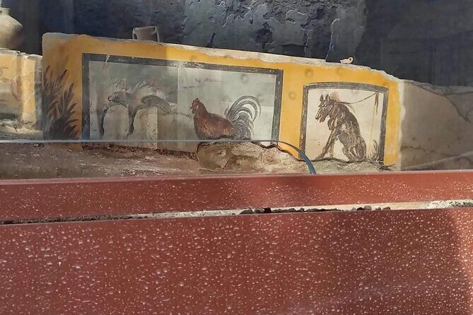 Pompeii Herculaneum - Price and value for groups up to eight (plus what’s extra)