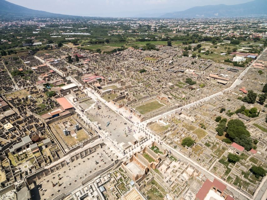 Pompeii, Herculaneum, and Vesuvius: Full-Day Tour - Price and value: is $141.61 a good deal?