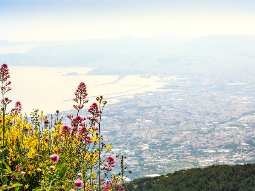 Pompeii, Herculaneum, and Vesuvius: Full-Day Tour - Who this tour suits best (and who should think twice)