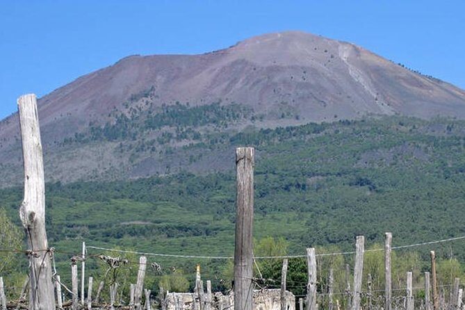 Pompeii, Herculaneum and Vesuvius Private Guided Tour - Why This Private Day Works So Well Around Naples