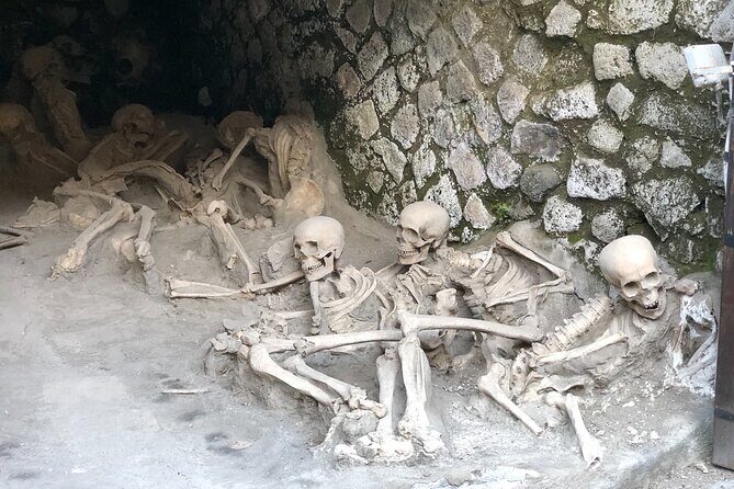 Pompeii & Herculaneum Family Adventure | Guide+Transport+Tickets - Price and value: what $738.31 per person is buying