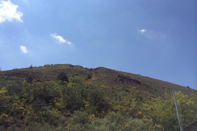 Pompeii, Herculaneum & Mt. Vesuvius Guided Tour from Sorrento - Price and logistics: what’s included, what costs extra