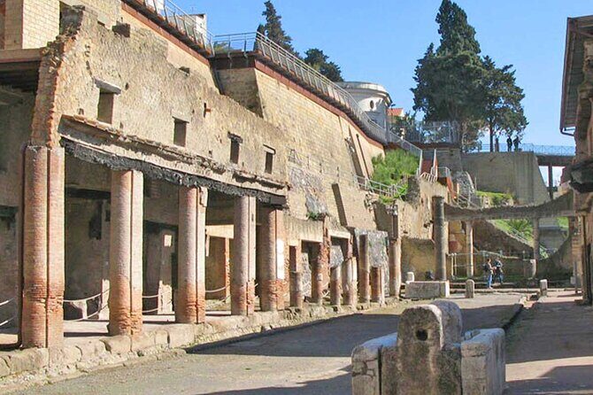 Pompeii & Herculaneum Private Tour: Fast-Track, Winery & Lunch - Why This Private Pompeii–Herculaneum Combo Works