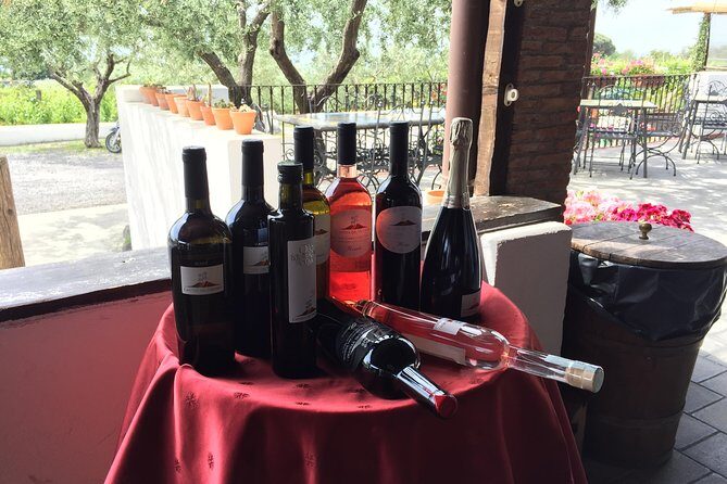 Pompeii-Herculaneum-Wine tour from Sorrento, with licensed guide included - Who this Pompeii–Herculaneum–Vesuvius tour suits best