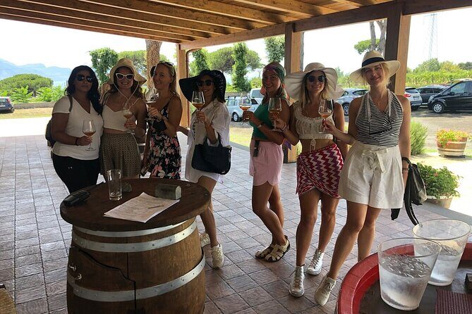 Pompeii, Herculaneum & Wine Tour, with Licensed Guide included - Timing that actually works: how to plan your day