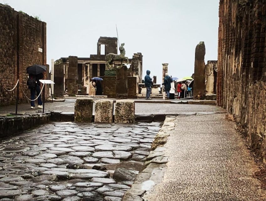 Pompeii in 2h and 30mnt: walk with local guide - A quick time-travel walk through Pompeii before Vesuvius