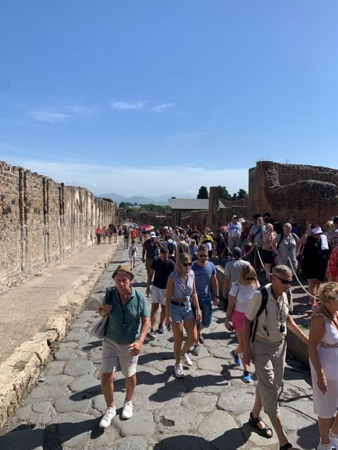 Pompeii in 2h and 30mnt: walk with local guide - The eruption moment: learning the timeline and seeing the preserved victims