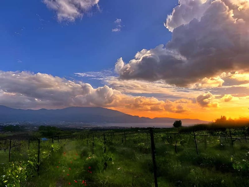 Pompeii: Mount Vesuvius Night Horseback Ride and Italian BBQ - Key highlights worth knowing