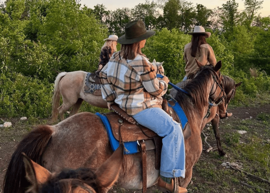 Pompeii: Mount Vesuvius Night Horseback Ride and Italian BBQ - How the Views Work: Sorrento and Capri at Night