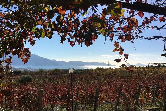 Pompeii, Mt Vesuvius and Wine Tour - Timing and pacing: how to plan your day in Naples or Sorrento