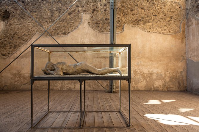 Pompeii & Mt.Vesuvius Day Tour from Naples with Pizza Lunch - Pizza Lunch and Free Time: When a Set Meal Meets a Busy Site