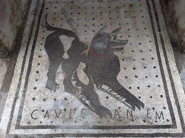 Pompeii Positano and Sorrento shared excursion with Pompeii skip the line entry - The Pompeii Sights Worth Your 2 Hours (Forum to Villa dei Misteri)