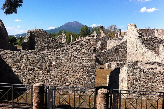 Pompeii Private Half-Day Tour from: Naples,Sorrento, Amalfi Coast - Timing, pacing, and how to get the most from your guide